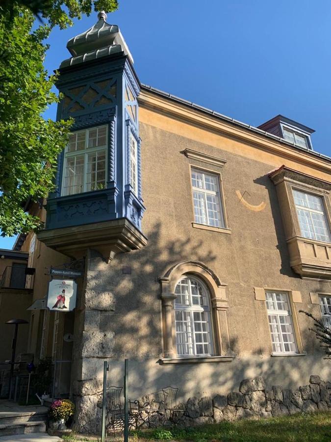 Villa Pazelt Top1 Bad Voeslau Exterior foto